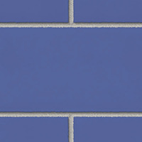 Glossy Blue Bonnet