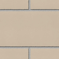 Palomino Cream