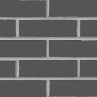 Shadow Gray