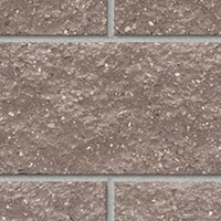 Border Brown